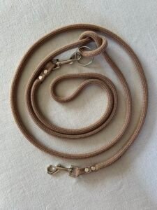 BUDDY - Hands-Free Dog Lead