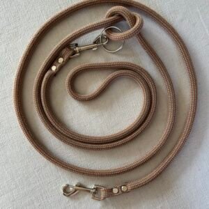 BUDDY - Hands-Free Dog Lead