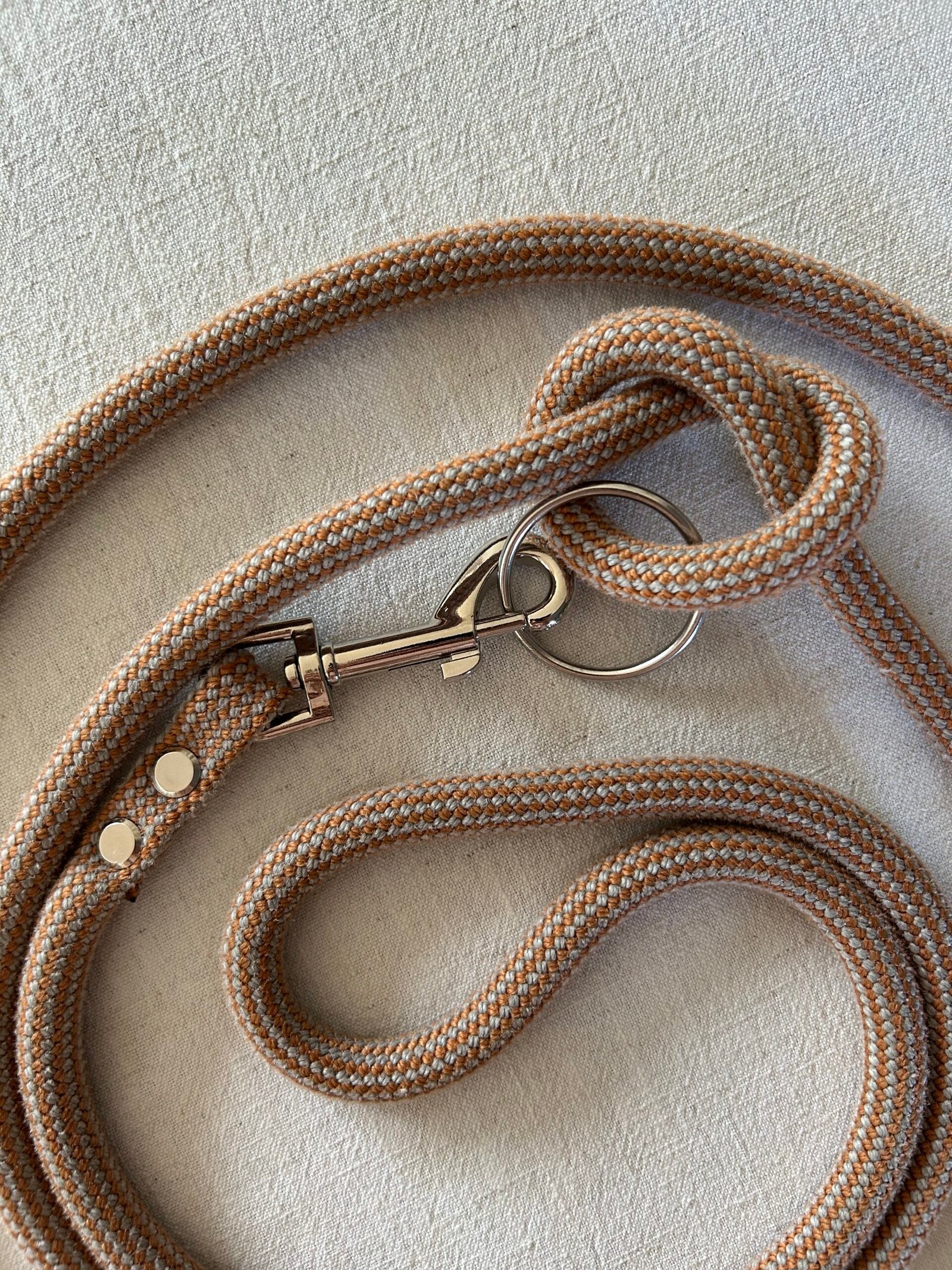 BUDDY - Hands-Free Dog Lead - Image 2