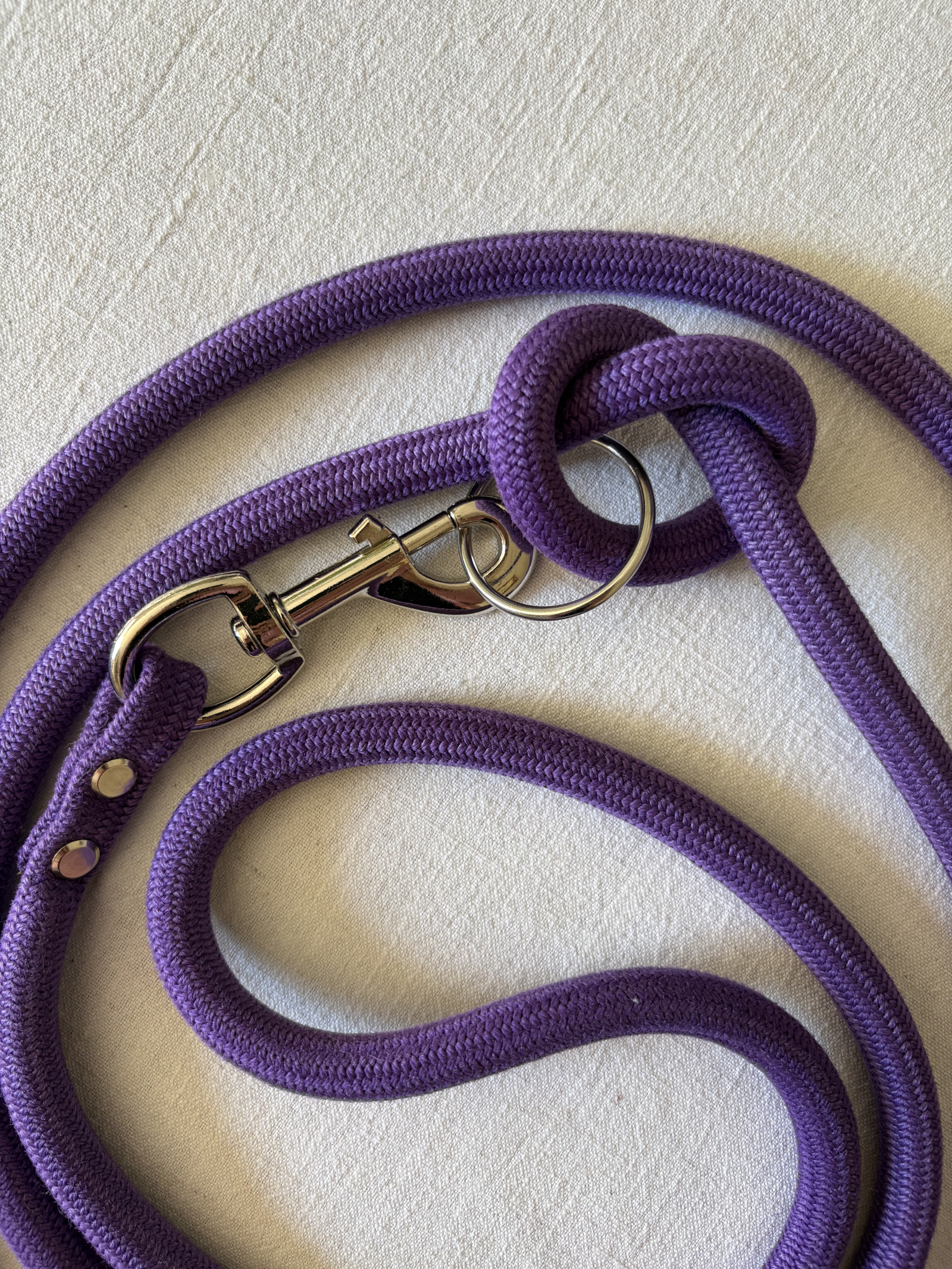 LOLA - Hands-Free Dog Lead - Image 2