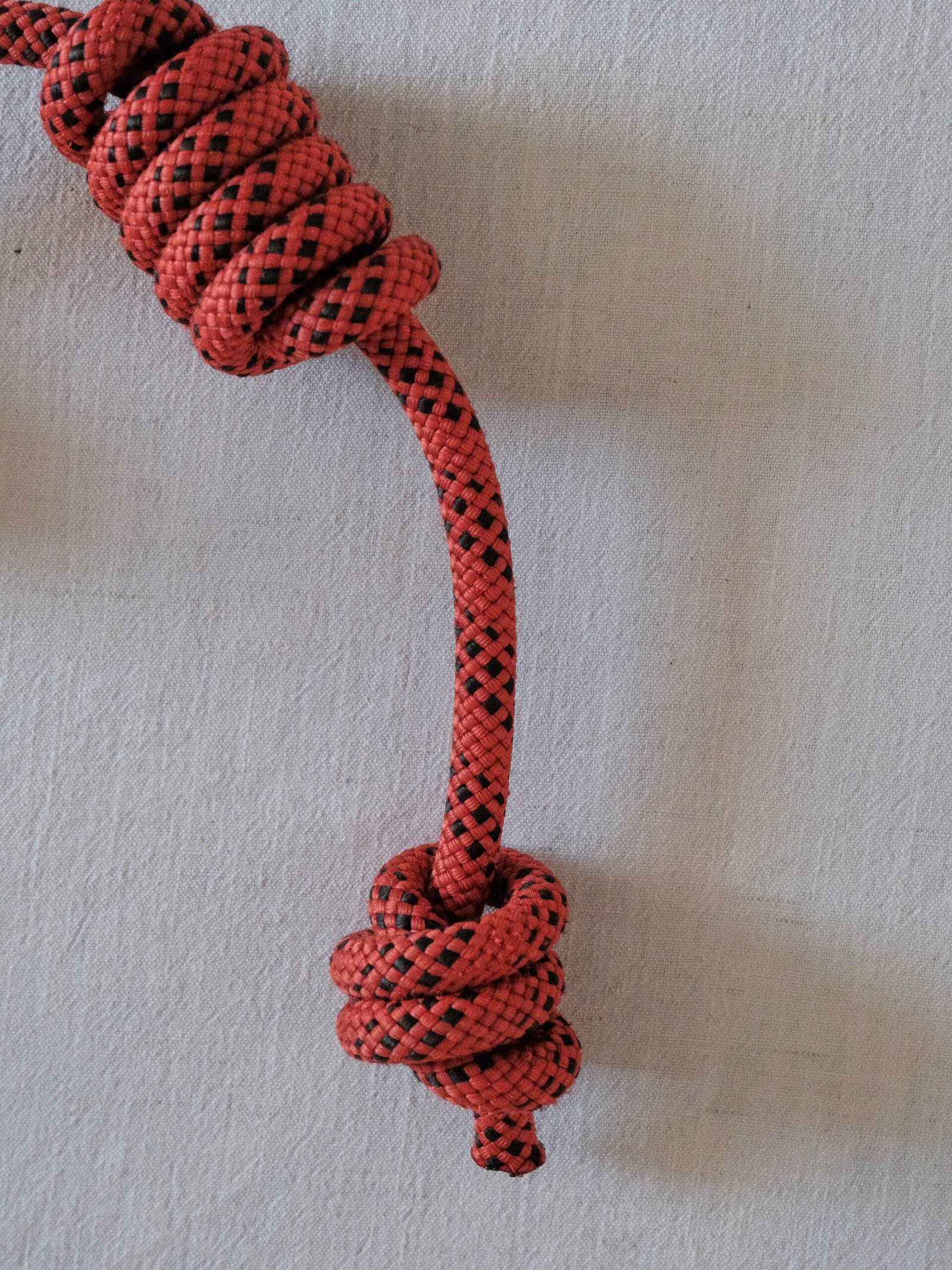 LUNA - Dog Toy - Image 2