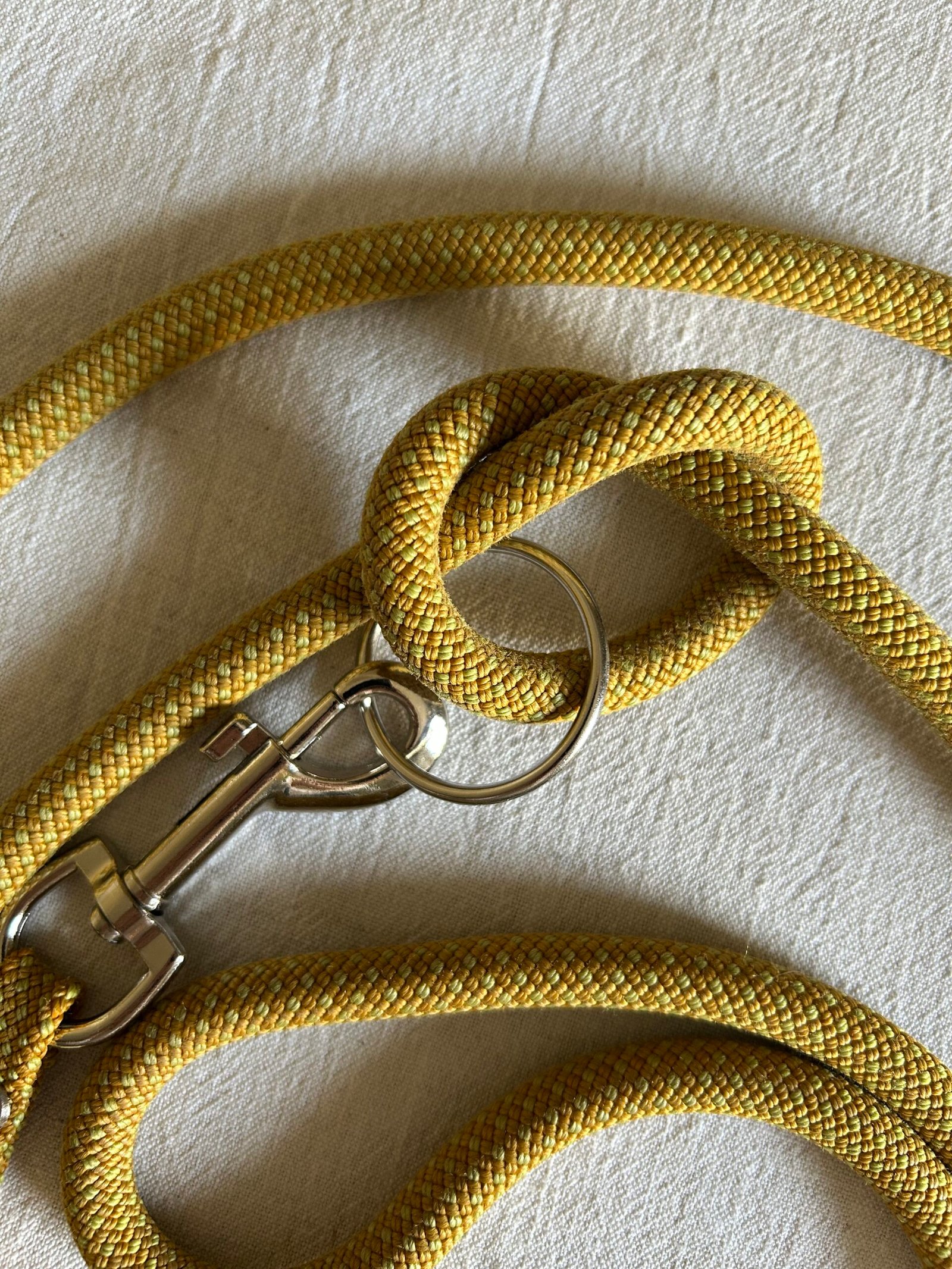 SUNNY - Hands-Free Dog Lead - Image 2